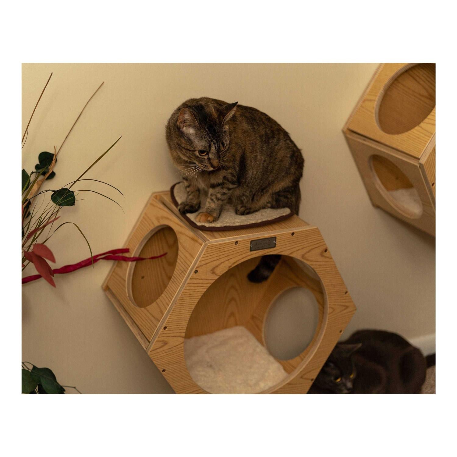 Real Wood Wall Tree Additions for Cats, Set of Two A4832
