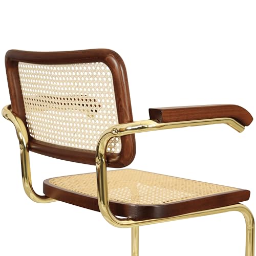 Cane Cantilever Armchair with Brass Steel Frame F630516