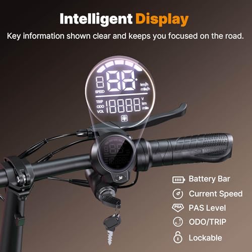 Electric Scooter for Adults, 28 Miles Range, 14'' Fat Tire, with Turn Signals L38069