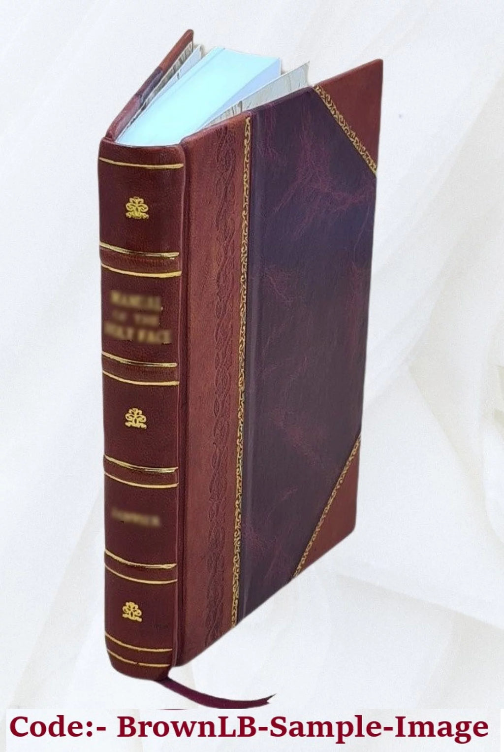 Leçons cliniques sur la blennorrhagie chez la femme / par le Dr L. Martineau,... 1885 [Leather Bound]