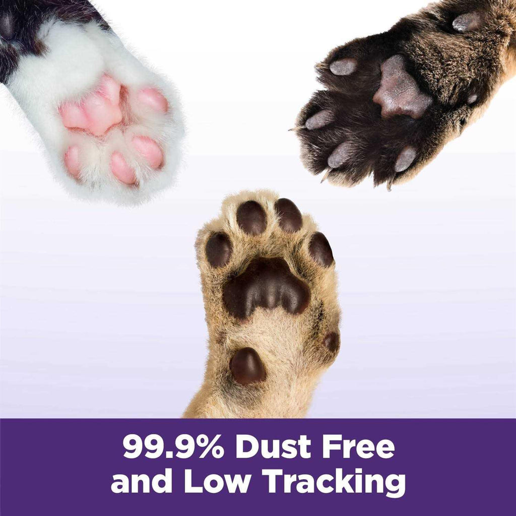 Easy Clean Multi-Cat Clumping Litter X196038