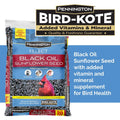 Pennington Select Black Oil Sunflower Seed Wild Bird Feed - Pet Supplies online store