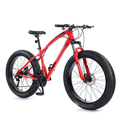 Electric Mountain Bike Snow Fat Tire Adult Ebike W712044