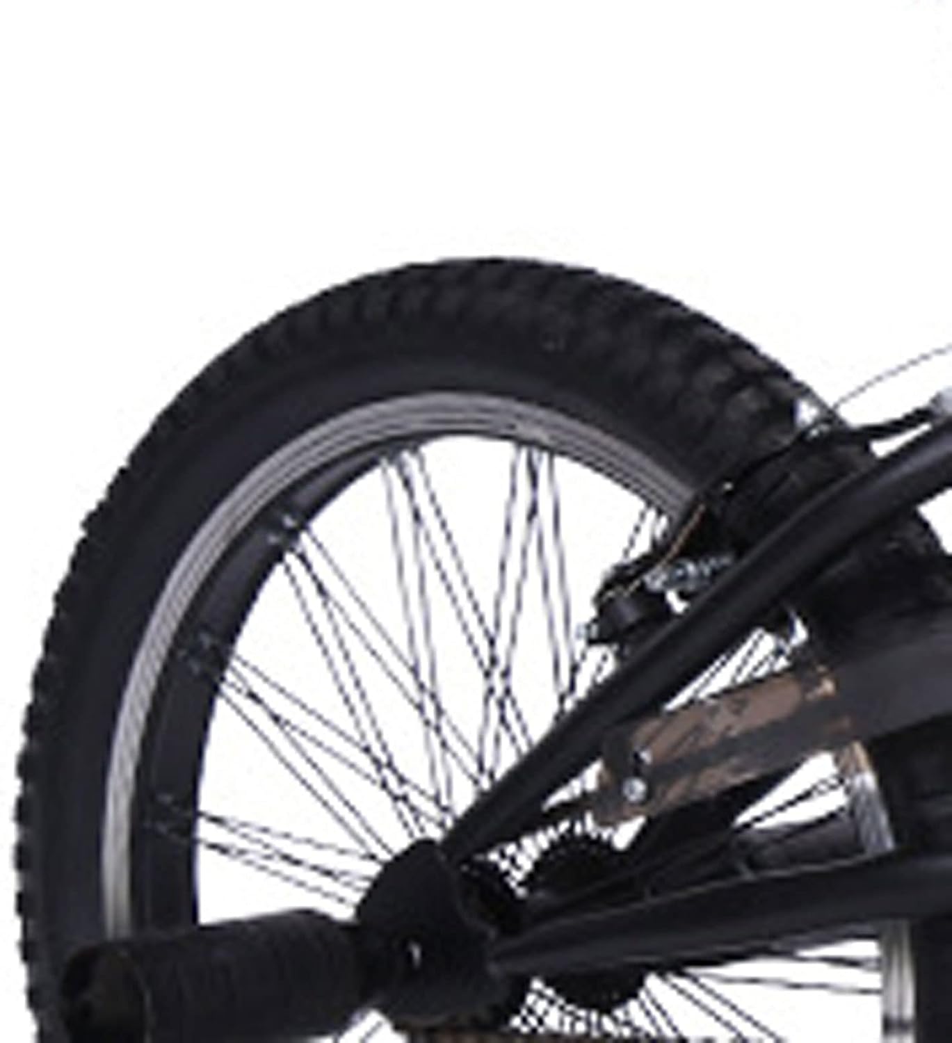 Electric Mountain Bike Fat Tire Snow E-Bike G138