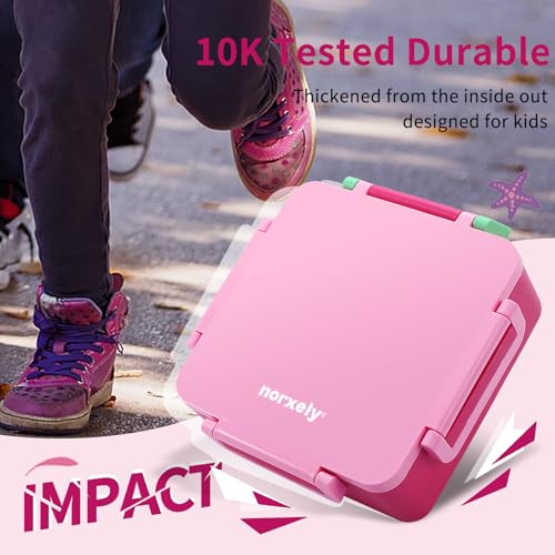 Kids Lunch Box with Thermos, 4 Compartments, Insulated, Drop-Proof, Dishwasher Safe I175