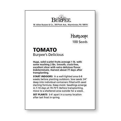 Red Beefsteak Slicing Tomato, 175 Non-GMO Seeds X5248