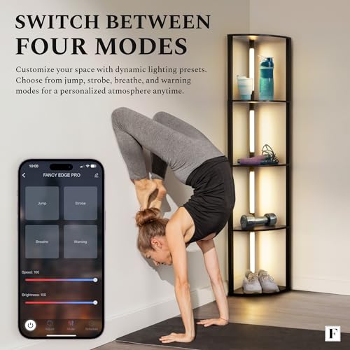 LED Display Shelf with Dimmable Lights for Living Room B36628
