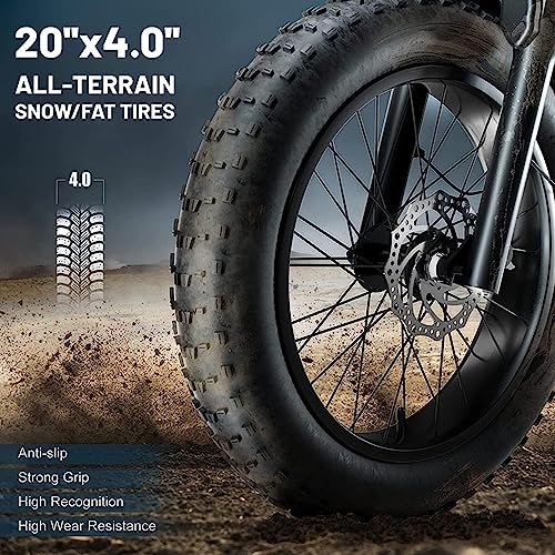 Electric Retro Cargo Bicycle 2000W Dual Motor 48V 18Ah Fat Tire 7 Speed R1675