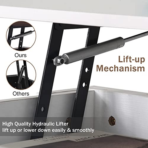 Modern Lift Top Coffee Table with Storage Shelf, Black C345