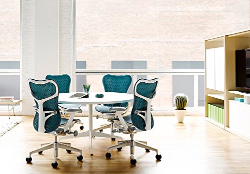 Ergonomic Office Chair with Adjustable Lumbar Support and Arms U2352