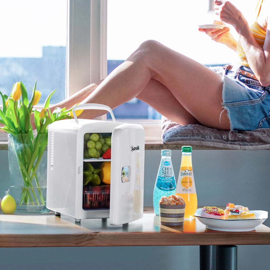 Mini Fridge 6 Can 4 Liter Portable Electric Cooler for Bedroom K9410