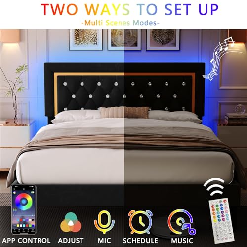 Upholstered Platform Bed Frame with LED Light, Black E225