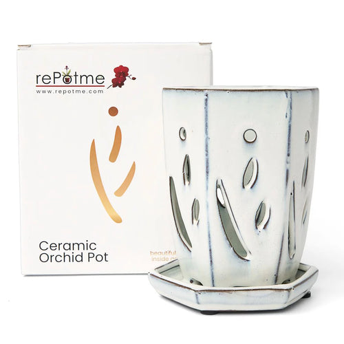 4" x 6" Hexagon Ceramic Orchid Pot W250753