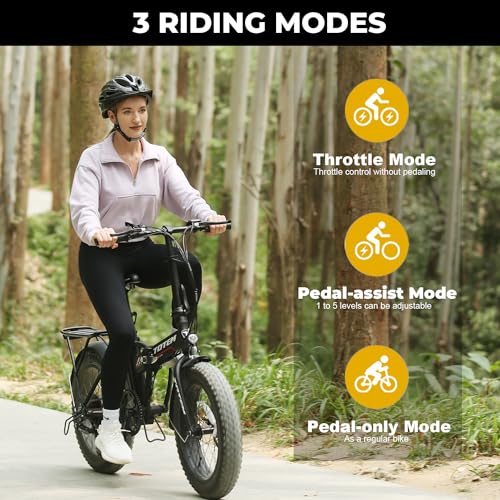 Fat Tire Folding Electric Bike for Adults, 20" x 4", 48V 10.4Ah Removable Battery, 500W Motor D511