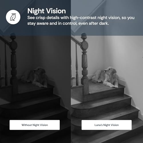 Indoor Security Camera with 360-Degree Pan/Tilt, AI Motion Detection, Night Vision, Two-Way Audio, Wi-Fi F45987