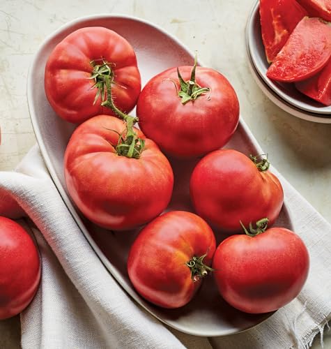 Burpee 'Super Beefsteak', Red Beefsteak Slicing Tomato, 175 Non-GMO Seeds