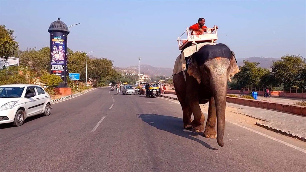 Indoor Cycling Workout DVD - Jaipur India Ride C414