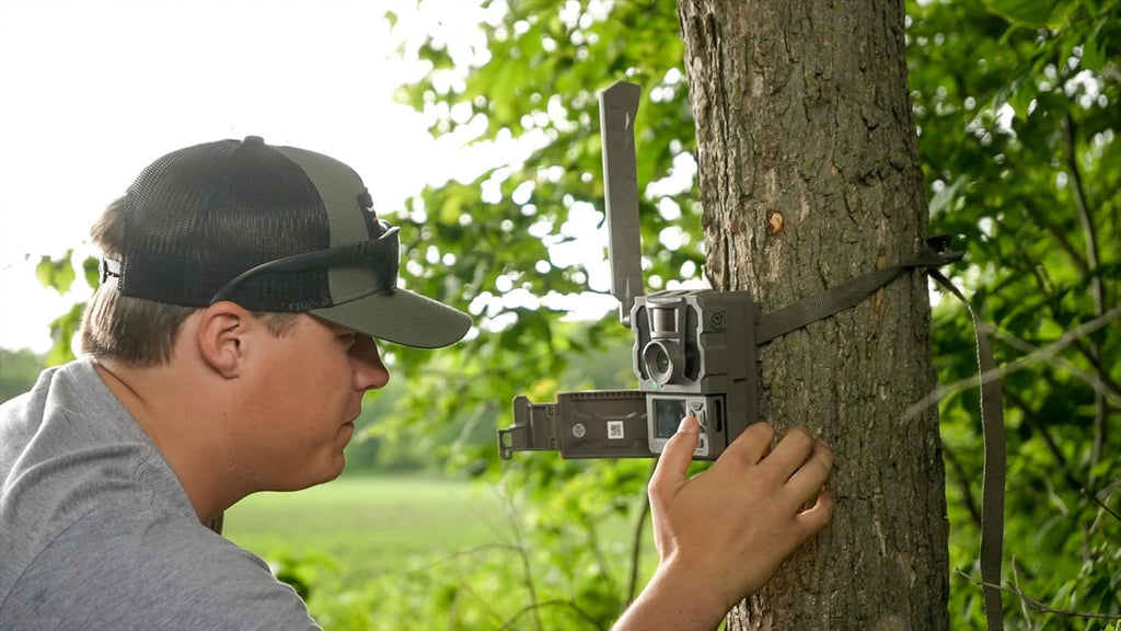 Cellular Trail Camera with No Glow, GPS Tracking, and LCD Screen, 2-Pack with Steel Straps I21640