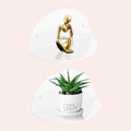 Small Acrylic Shelves Room Decor Floating Shelves (2-Pack, 8-inch Diameter) - Wall Mounted Display Stand for Plants, Toys, Makeup, and More - Ideal for Home and Office, White
