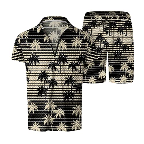 Mens Printed 2 Piece Outfit Set Short Sleeve Shirt and Shorts B8282