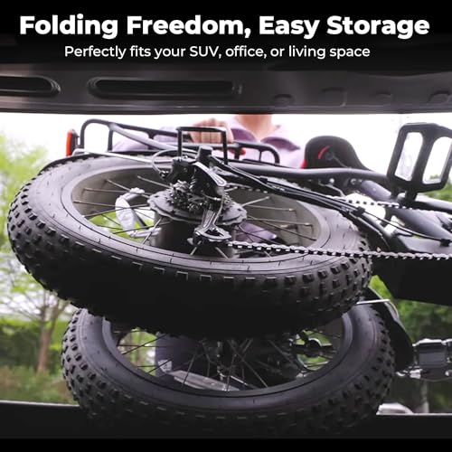 Fat Tire Folding Electric Bike for Adults, 20" x 4", 48V 10.4Ah Removable Battery, 500W Motor D511