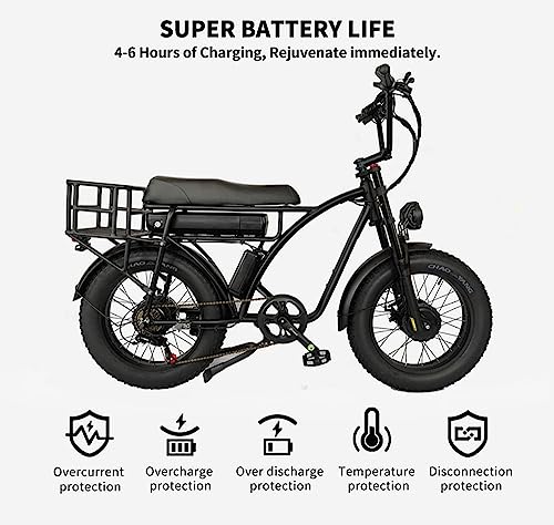 Electric Retro Cargo Bicycle 2000W Dual Motor 48V 18Ah Fat Tire 7 Speed R1675