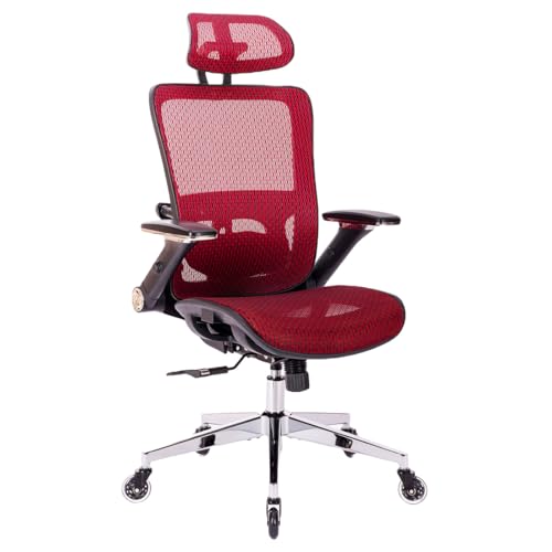 Ergonomic Mesh High Back Office Chair with Adjustable Headrest and Lumbar Support M2272