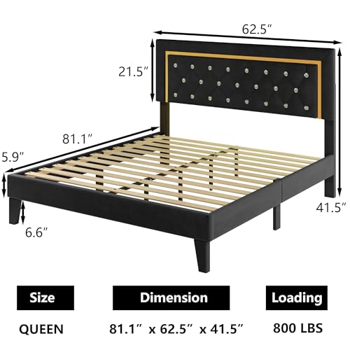 Upholstered Platform Bed Frame with LED Light, Black E225