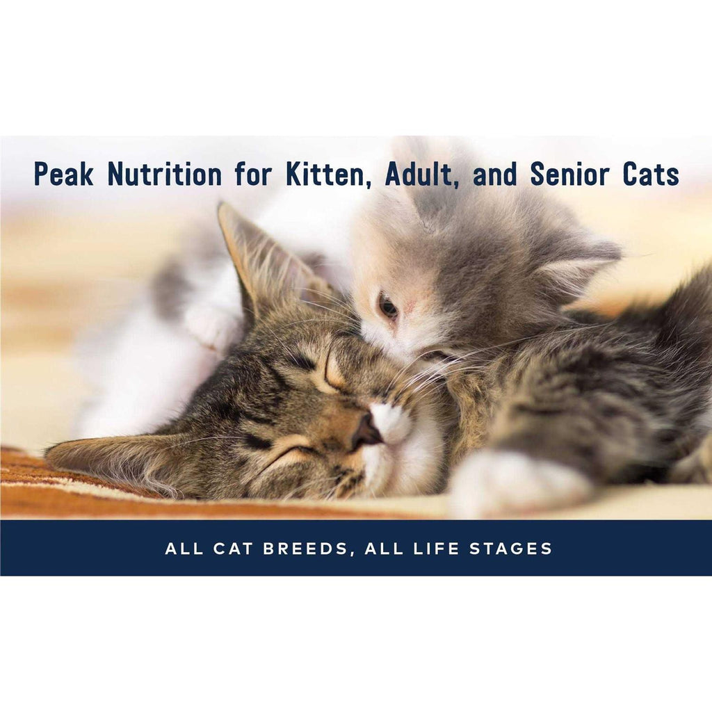 Chicken Recipe Canned Cat Food F487