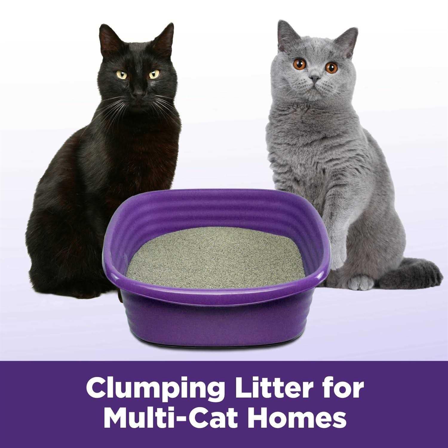 Easy Clean Multi-Cat Clumping Litter X196038