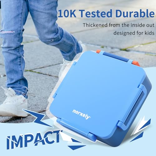 Kids Lunch Box with Thermos, 4 Compartments, Insulated, Drop-Proof, Dishwasher Safe I175