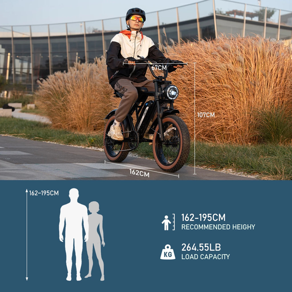 750W Electric Bike for Adults, 48V 15Ah Removable Battery, 20" Fat Tire Mountain Bicycle I4547