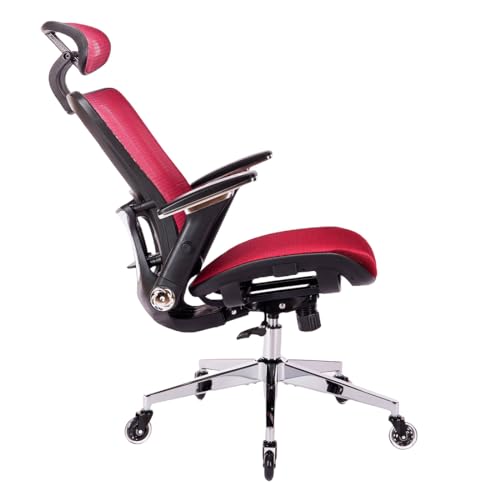 Ergonomic Mesh High Back Office Chair with Adjustable Headrest and Lumbar Support M2272