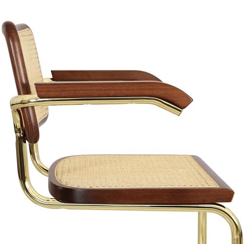 Cane Cantilever Armchair with Brass Steel Frame F630516