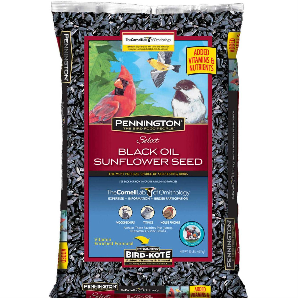 Black Oil Sunflower Seed Wild Bird Feed K197420