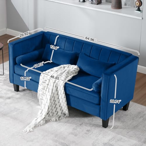 Velvet Loveseat Sofa for Living Room, 65" Modern 2-Seater Couch with Bolster Pillows Q28138