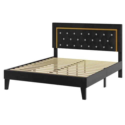 Upholstered Platform Bed Frame with LED Light, Black E225