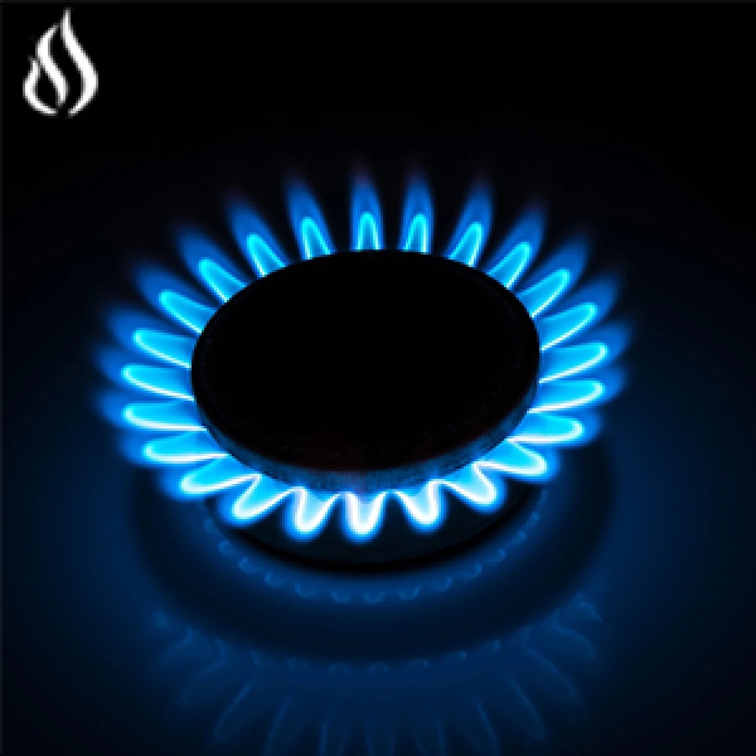 30" Propane Gas Cooktop, 5 Burner Built-in Stainless Steel, LPG/NG Dual Fuel with Regulator T515