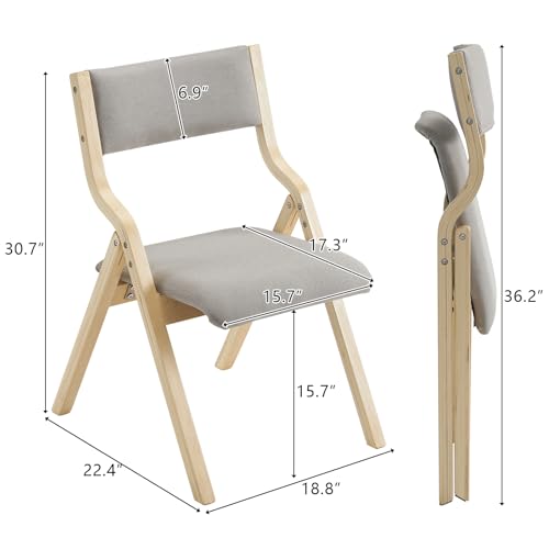 Folding Chairs with Cushions 2 Pack X3515