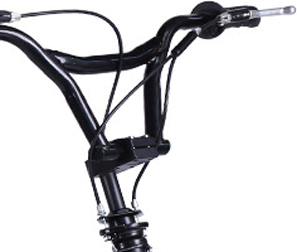 Electric Mountain Bike Fat Tire Snow E-Bike G138