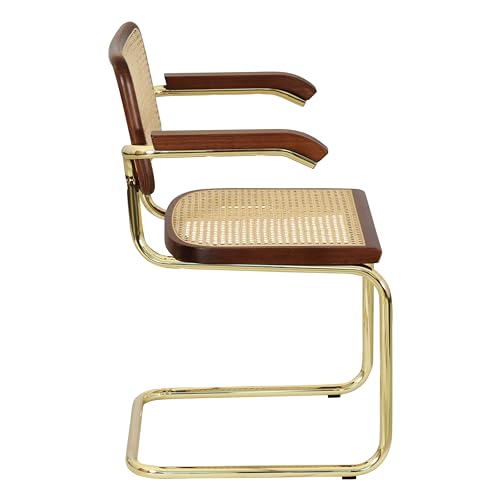 Cane Cantilever Armchair with Brass Steel Frame F630516