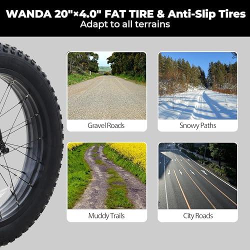 Fat Tire Folding Electric Bike for Adults, 20" x 4", 48V 10.4Ah Removable Battery, 500W Motor D511