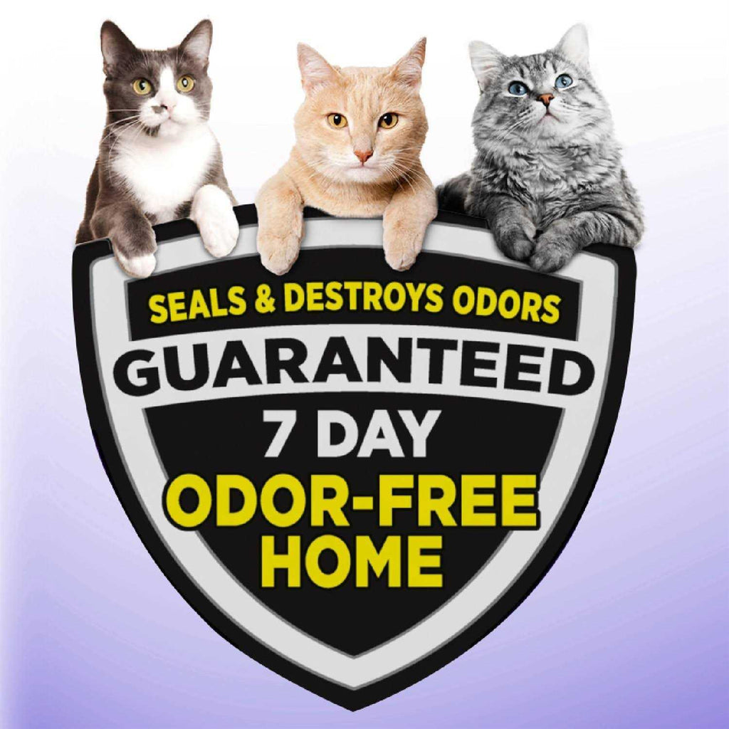 Easy Clean Multi-Cat Clumping Litter X196038
