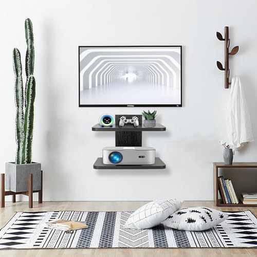 Floating Shelf for Under TV, Wall Mount Entertainment Stand for Cable Box, DVD Player, Game Console G187919