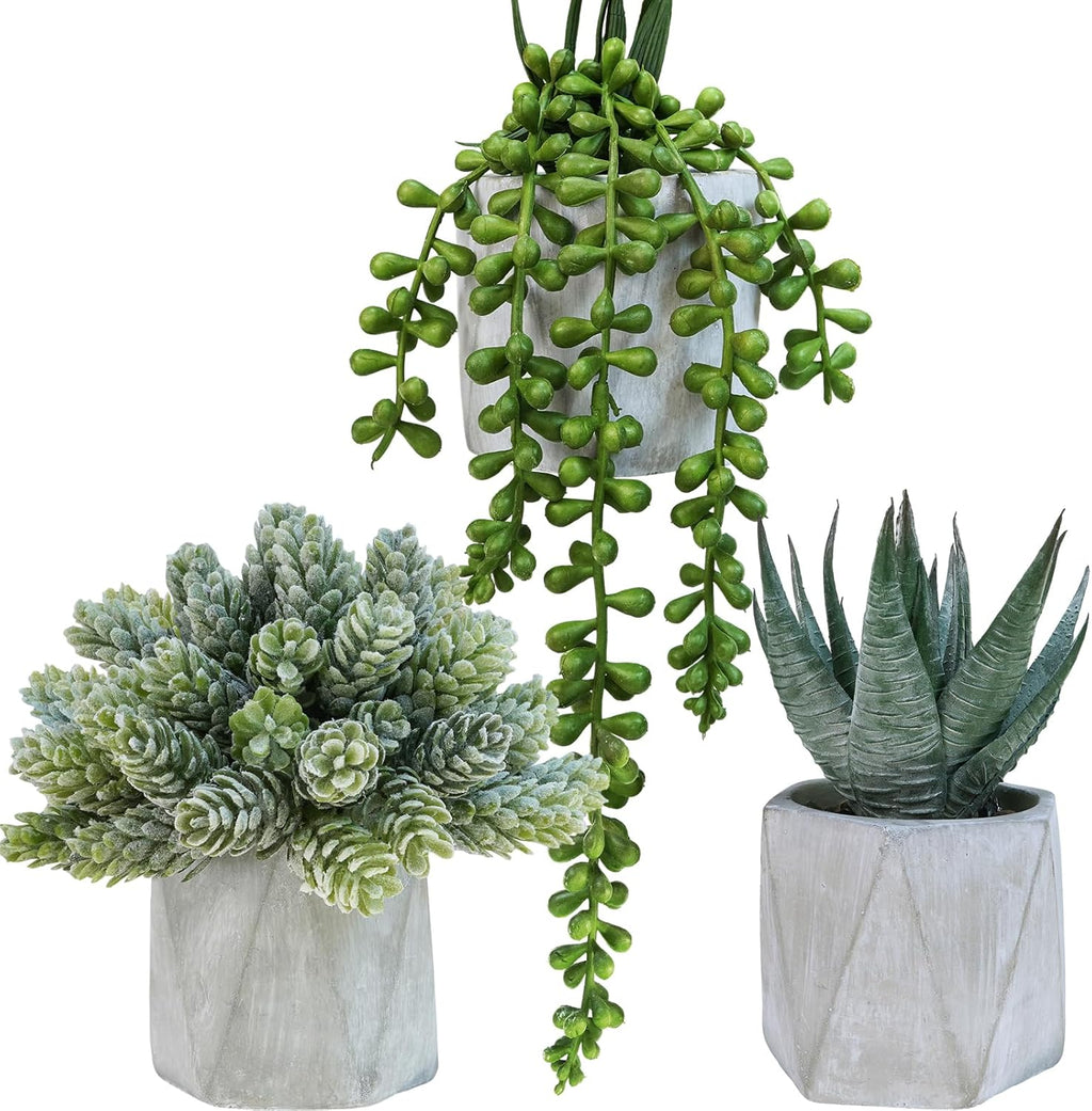 Winlyn Set of 3 Mini Artificial Succulent Plants Potted Small Fake Aloe Hops String of Pearls Plants in Gray Hexagon Ceramic Pots for Modern Home Office Desk Living Room Kitchen Table Shelf Décor