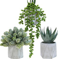 Winlyn Set of 3 Mini Artificial Succulent Plants Potted Small Fake Aloe Hops String of Pearls Plants in Gray Hexagon Ceramic Pots for Modern Home Office Desk Living Room Kitchen Table Shelf Décor