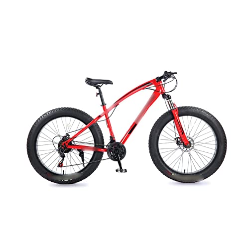 Mountain Bike Electric Bike Snow Fat Tire Electric Mountain Bike Electric Bike Adult Ebike