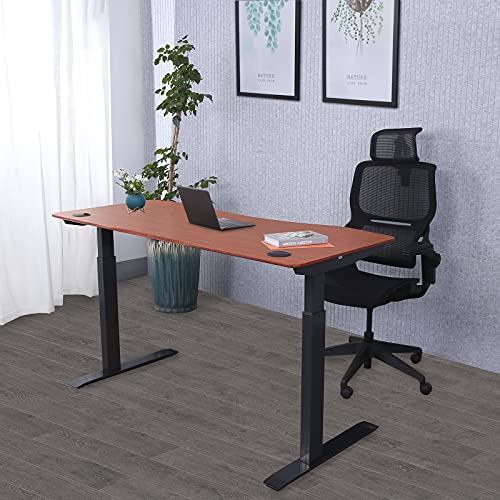 Electric Height Adjustable Stand Up Desk with Curved Top L3088