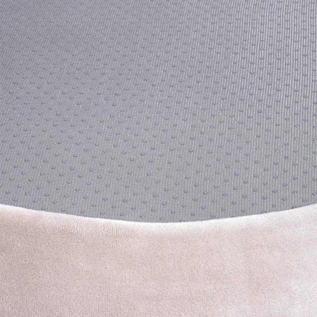 Shark Pet Bed L5679