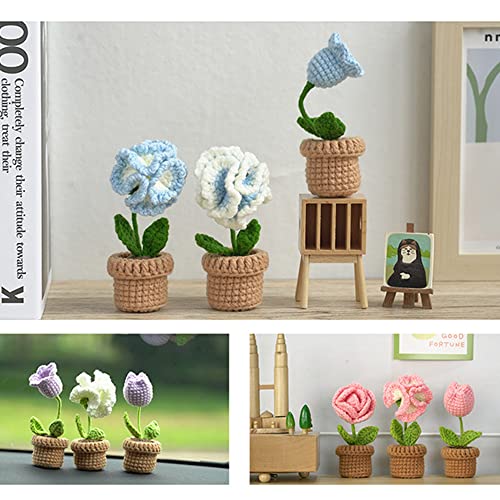 Crochet Kit for Beginners, 6 Pcs Potted Flowers, DIY Starter Kit with Video Tutorials H56169